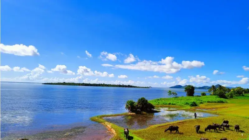 Reliable and Affordable Car Rental Service in Bhubaneswar | Rideus