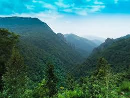 Self Drive Car Rental in Baliguda