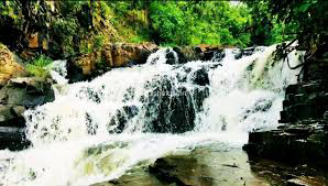 Self Drive Car Rental in Jharigam