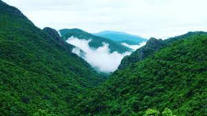 Self Drive Car Rental in Kandhamal