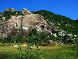 Self Drive Car Rental in Nilagiri